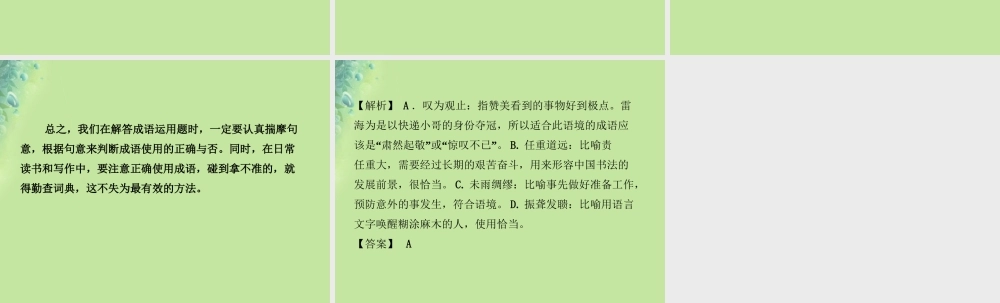中考语文 专题二 成语含俗语理解与运用课件