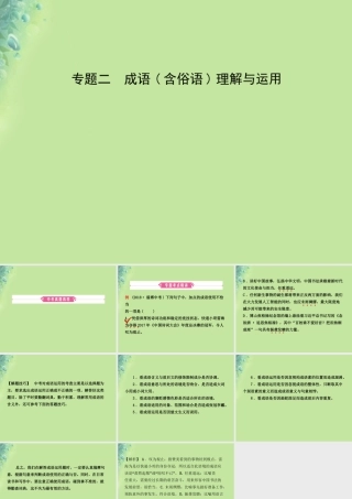 中考语文 专题二 成语含俗语理解与运用课件