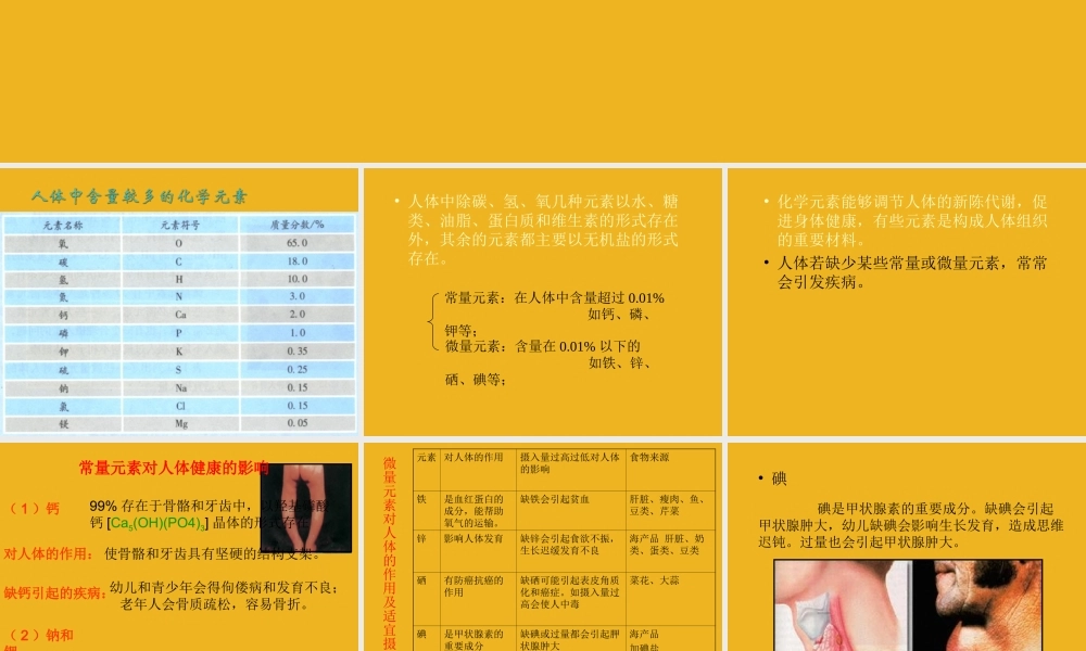 九年级化学 第八单元第二节 化学元素与人体健康课件 鲁教版 课件