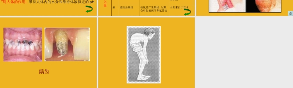 九年级化学 第八单元第二节 化学元素与人体健康课件 鲁教版 课件