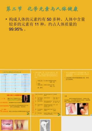 九年级化学 第八单元第二节 化学元素与人体健康课件 鲁教版 课件