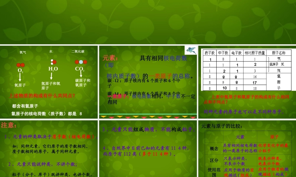 九年级化学上册 3.3 元素课件 (新版)新人教版 课件