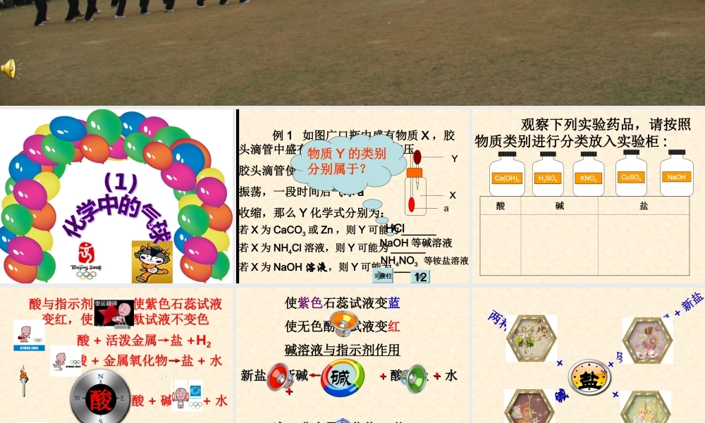 九年级化学下册酸碱盐的复习课件人教版 课件