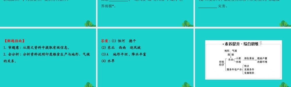 七年级地理下册 第七章 第三节 印度(二 印度的粮食生产 迅速发展的服务外包产业)习题课件(新版)新人教版 课件
