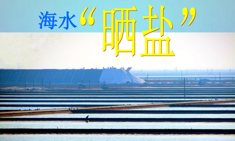 九年级化学下册 第八单元 第二节 第一课时 海水 晒盐 的过程 溶解度课件 (新版)鲁教版 课件