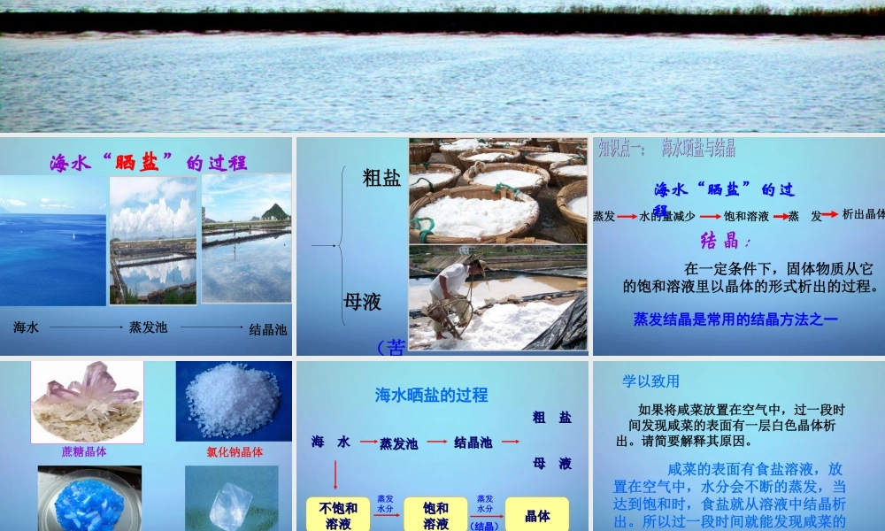 九年级化学下册 第八单元 第二节 第一课时 海水 晒盐 的过程 溶解度课件 (新版)鲁教版 课件