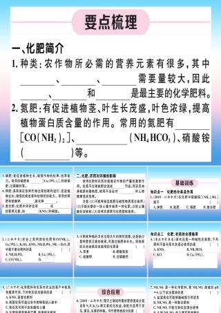 九年级化学下册 第十一单元 盐 化肥 第1课时 化学肥料习题课件 (新版)新人教版 课件