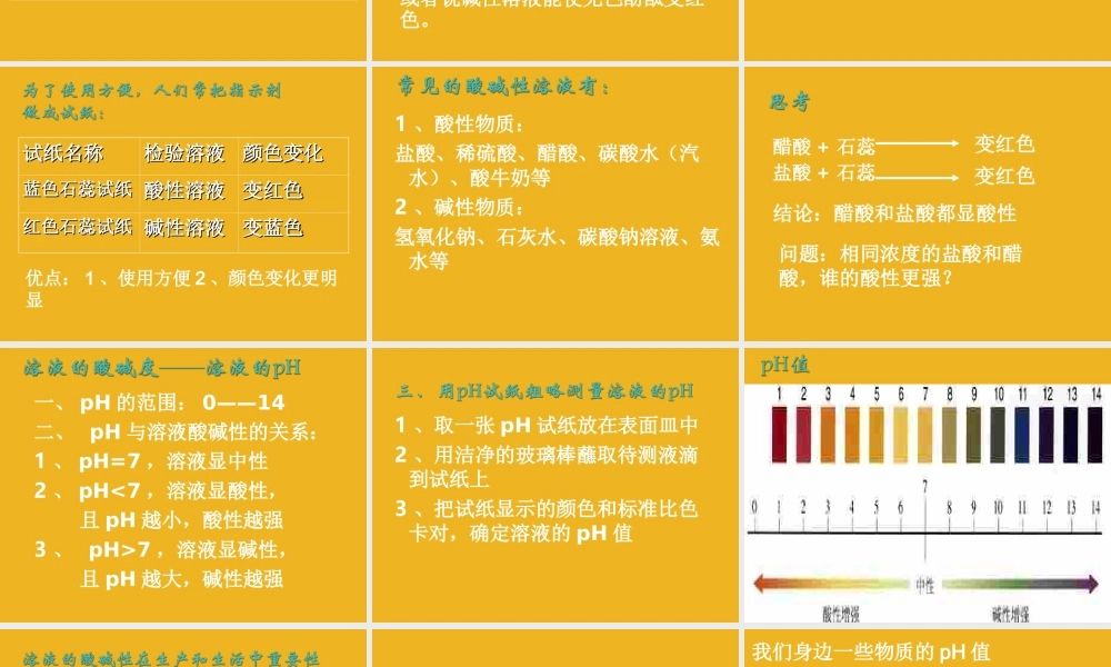 九年级化学下册 单元1酸性溶液和碱性溶液课件