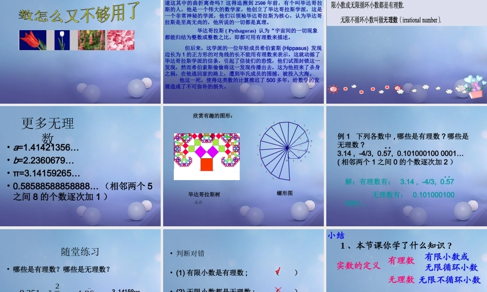 七年级数学上册 2.2 有理数与无理数素材1 (新版)苏科版 素材