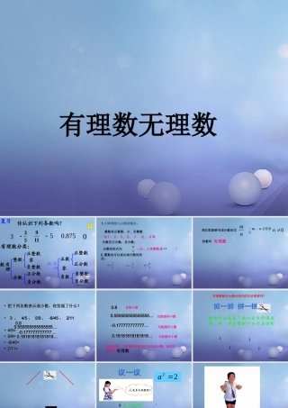七年级数学上册 2.2 有理数与无理数素材1 (新版)苏科版 素材