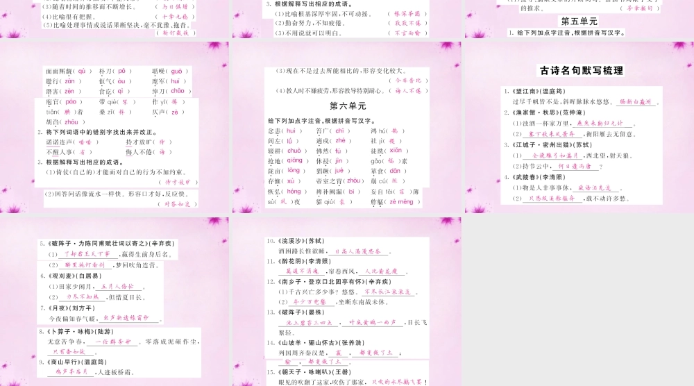 中考语文 第一轮 复习教材 夯基固本 九上 语音、汉字、词语梳理课件 新人教版 课件