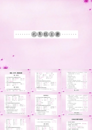 中考语文 第一轮 复习教材 夯基固本 九上 语音、汉字、词语梳理课件 新人教版 课件