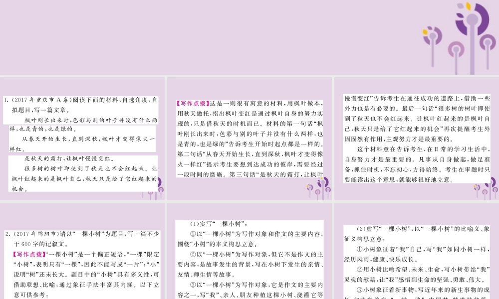 中考语文复习 第二轮 专题突破 第五部分 写作训练 专题十八 主题五 自然现象课件 新人教版 课件