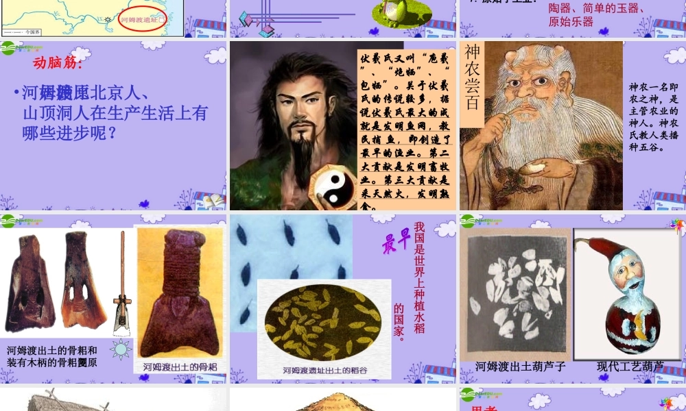 七年级历史上册 第2课原始的农耕生活课件 人教新课标版 课件