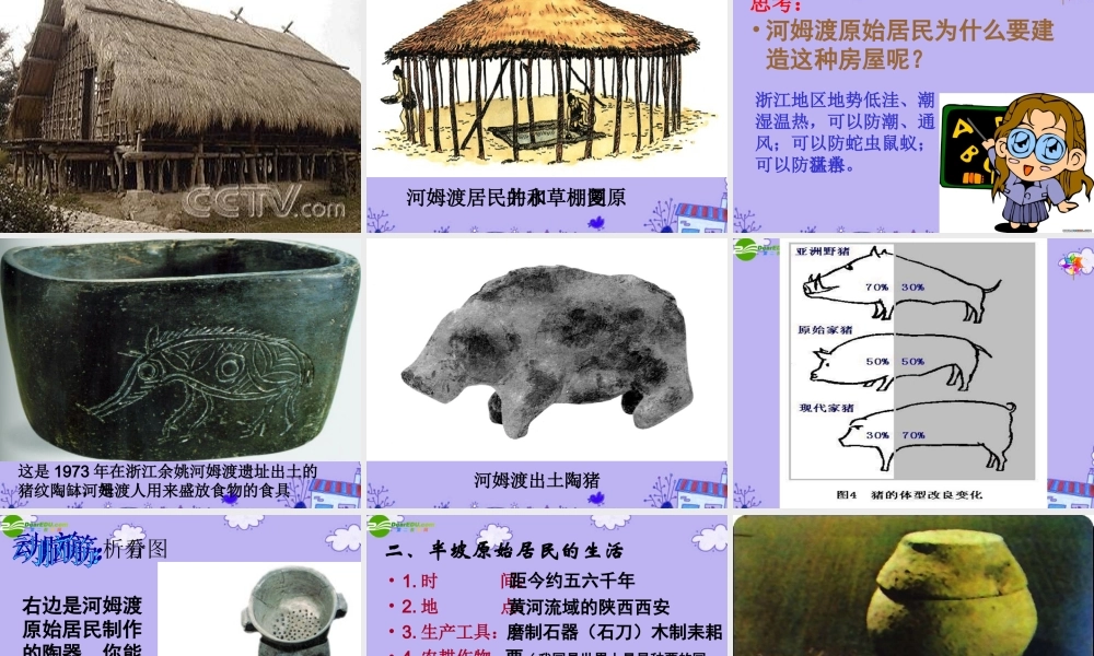 七年级历史上册 第2课原始的农耕生活课件 人教新课标版 课件