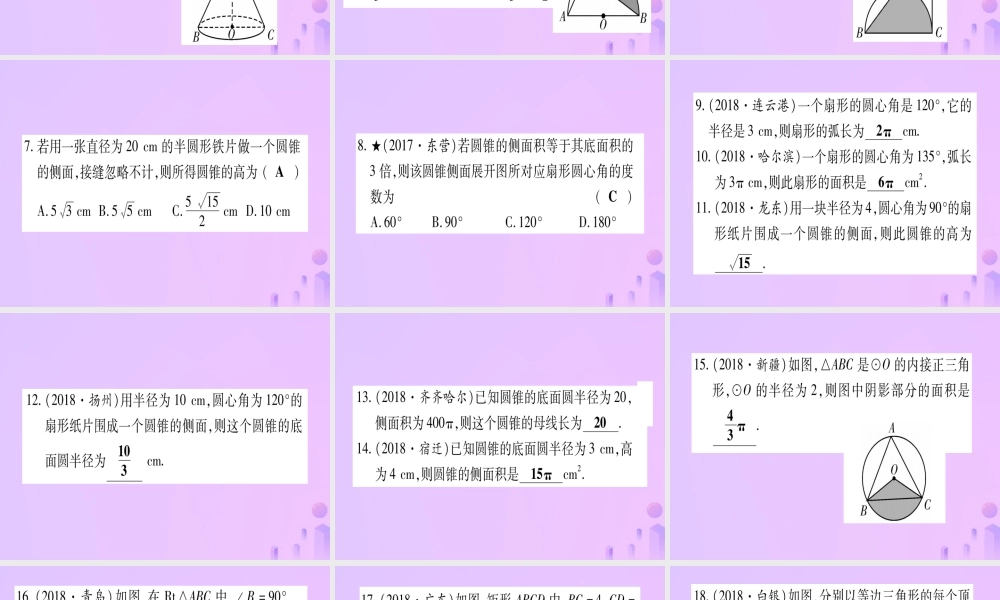 (云南专用)中考数学 第一轮 考点系统复习 第6章 圆 第3节 与圆有关的计算作业课件