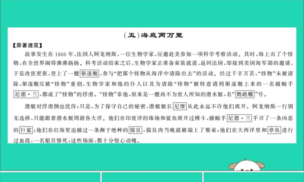 中考语文 名著导读专题讲解(五)海底两万里课件 新人教版 课件