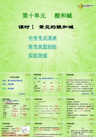 (湖南专用)中考化学总复习 第一部分 第十单元 酸和碱课时1课件(考点清单+13年中考试题) 课件