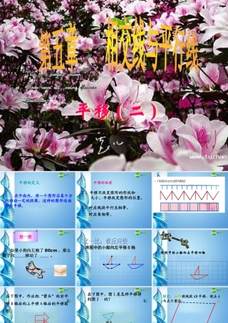 七年级数学上册 平移二课件 人教新课标版 课件