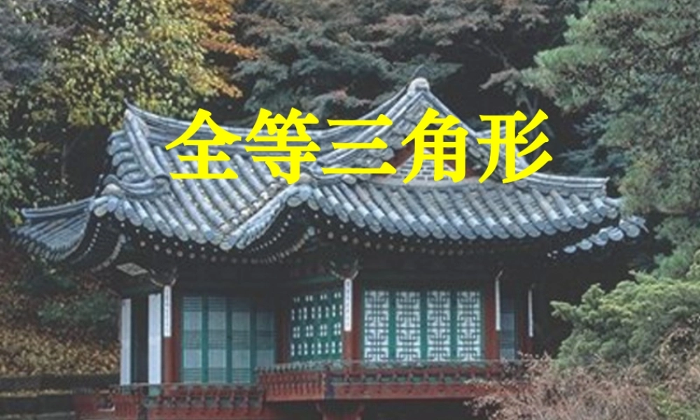 1.4全等三角形 初一数学第一章三角形的初步知识全章课件 浙教版