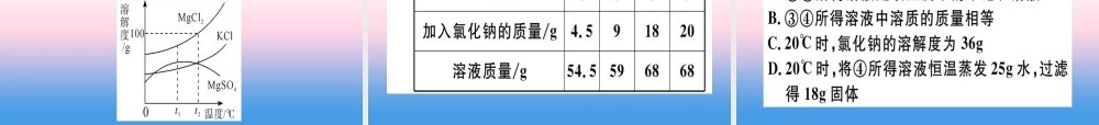 九年级化学下册 专题二 溶解度综合应用习题课件 (新版)新人教版 课件