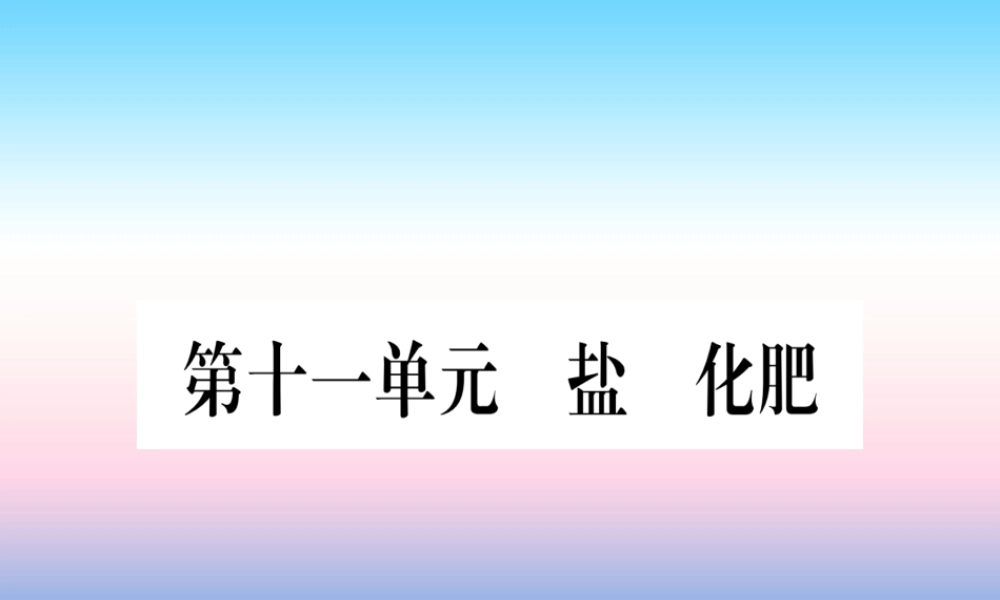 (云南专用)中考化学总复习 第1部分 教材系统复习 九下 第11单元 盐 化肥(精练)课件