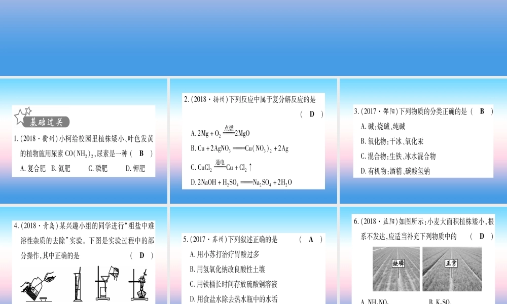 (云南专用)中考化学总复习 第1部分 教材系统复习 九下 第11单元 盐 化肥(精练)课件