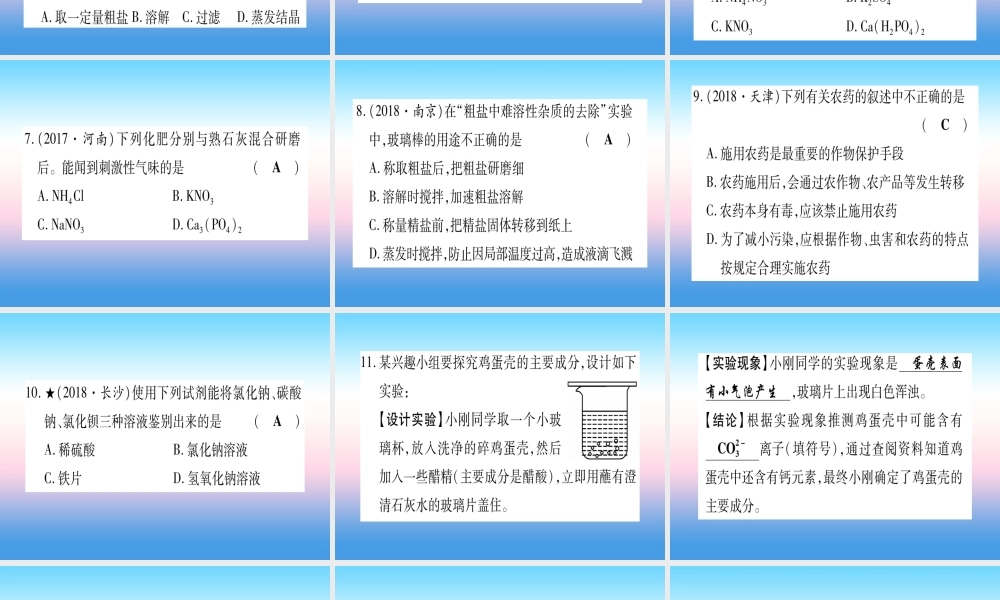 (云南专用)中考化学总复习 第1部分 教材系统复习 九下 第11单元 盐 化肥(精练)课件