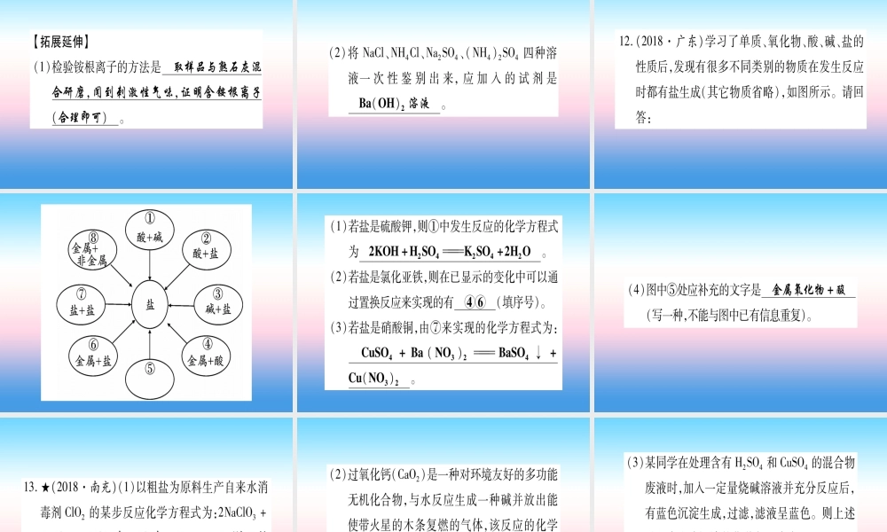 (云南专用)中考化学总复习 第1部分 教材系统复习 九下 第11单元 盐 化肥(精练)课件