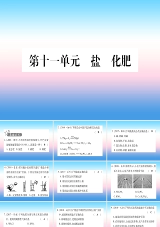 (云南专用)中考化学总复习 第1部分 教材系统复习 九下 第11单元 盐 化肥(精练)课件