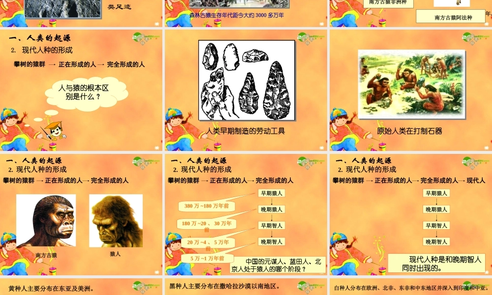 九年级历史上册 第一课史前时期的人类 岳麓版 课件