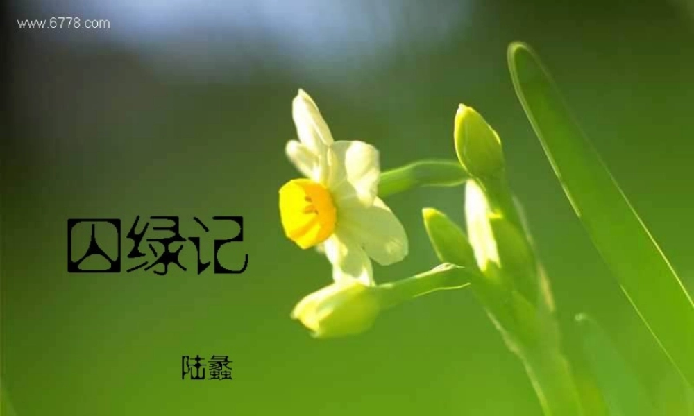 (囚緑记)课件5  (新人教版必修2) 课件