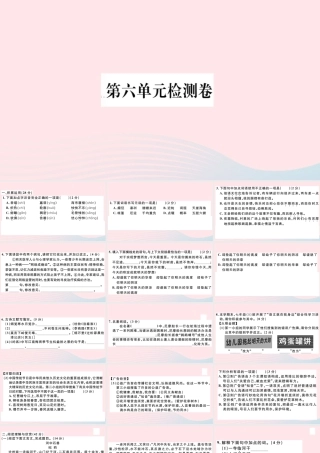 (通用版)文下册 第六单元检测卷课件 新人教版 课件