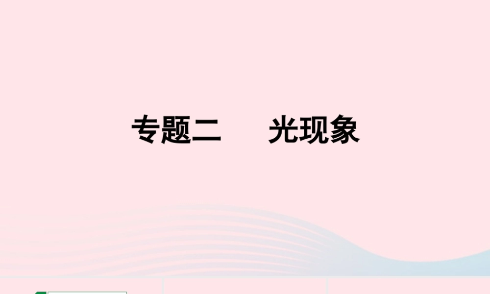 中考物理一轮复习 专题二 光现象课件