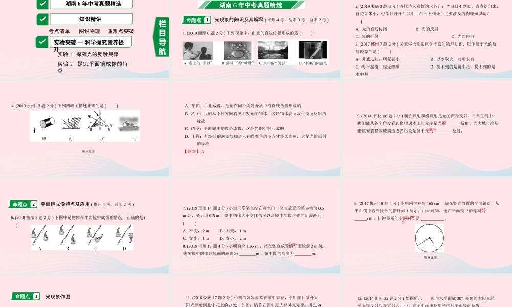 中考物理一轮复习 专题二 光现象课件