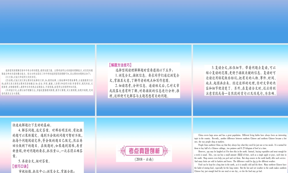 中考英语准点备考 专题精讲十三 阅读理解课件