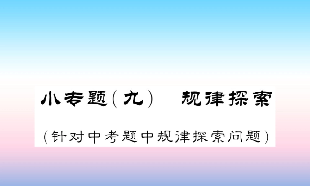 (课标版通用)中考数学总复习 第二轮 小专题集训 题型专攻 小专题(九)习题课件