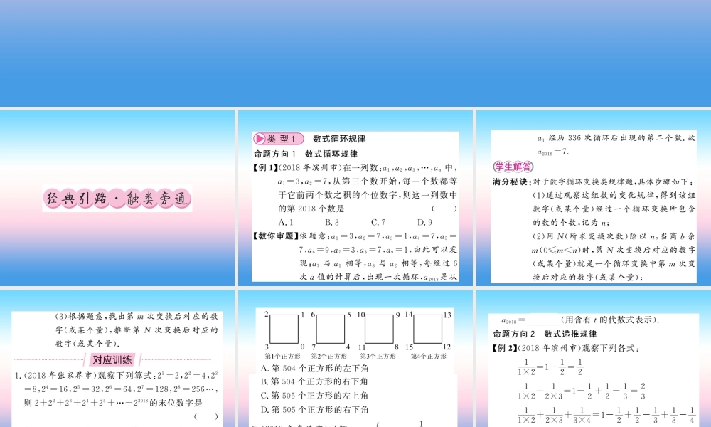 (课标版通用)中考数学总复习 第二轮 小专题集训 题型专攻 小专题(九)习题课件