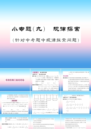 (课标版通用)中考数学总复习 第二轮 小专题集训 题型专攻 小专题(九)习题课件