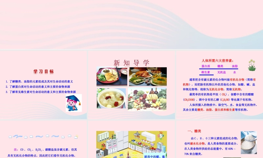 九年级化学下册 第十单元 第一节 食物中的有机物课件 鲁教版 课件