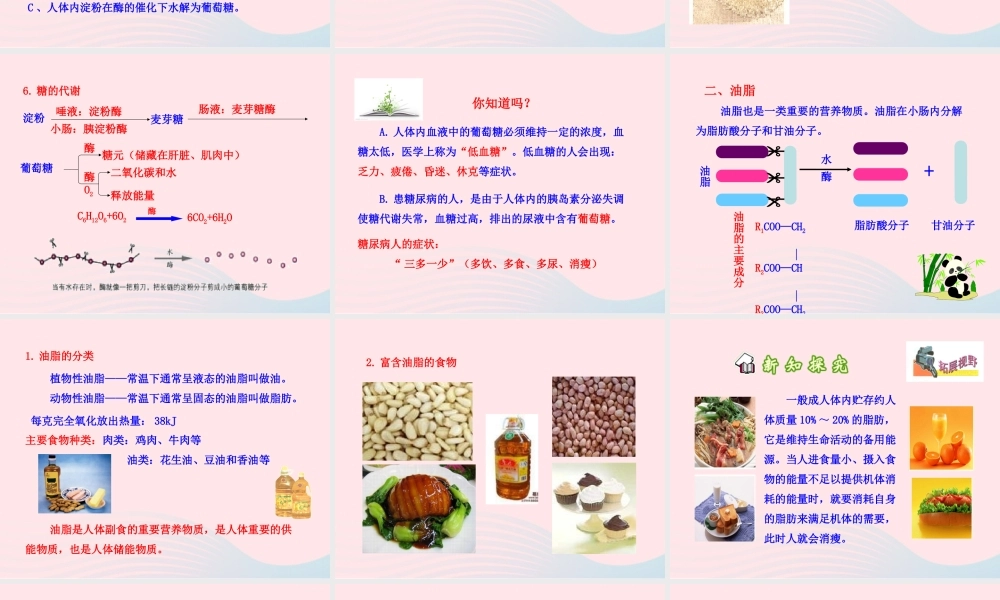 九年级化学下册 第十单元 第一节 食物中的有机物课件 鲁教版 课件