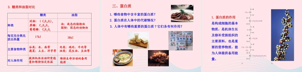 九年级化学下册 第十单元 第一节 食物中的有机物课件 鲁教版 课件