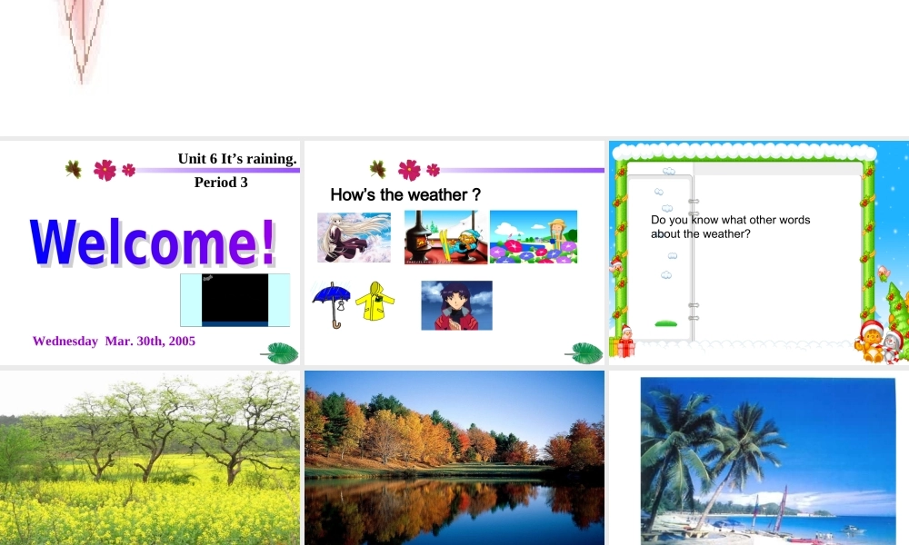 unit6p3 新目标七年级下UNIT6P3课件