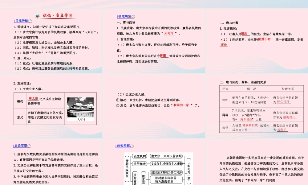 七年级历史下册 第一单元 繁荣与开放的社会 第5课 和同为一家课件 新人教版 课件