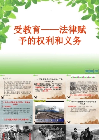 七年级政治上册 受教育—法律赋予我们的权利和义务教案 鲁教版 课件-2