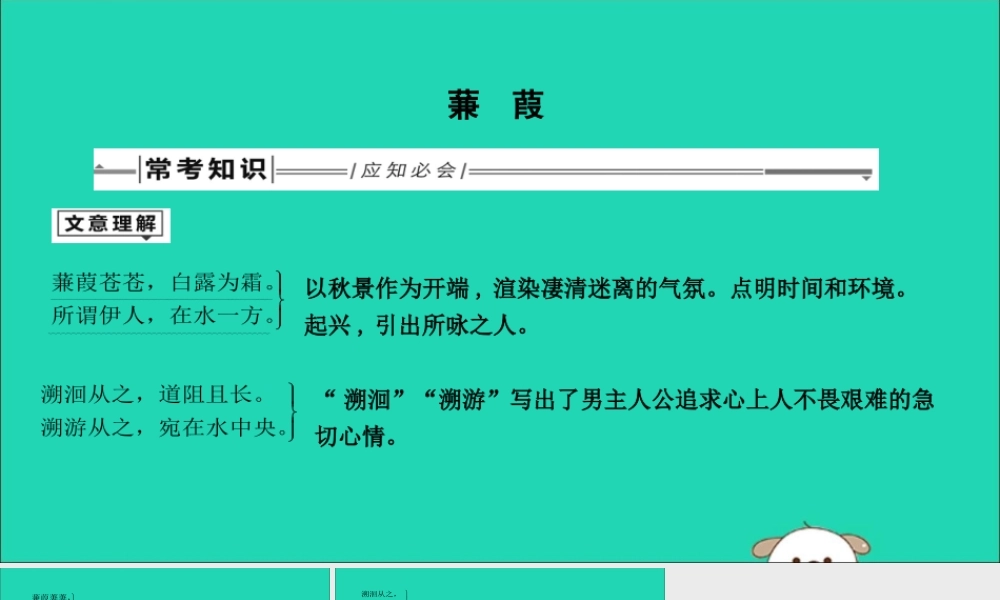 中考语文总复习 第一部分 教材基础自测 八下 古诗文(诗经)二首 蒹葭课件 新人教版 课件