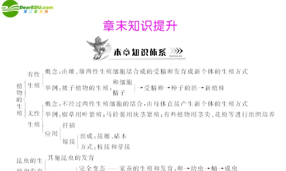 (随堂优化训练)八年级生物下册 第七单元 第一章 章末知识提升 配套课件 人教新课标版 课件