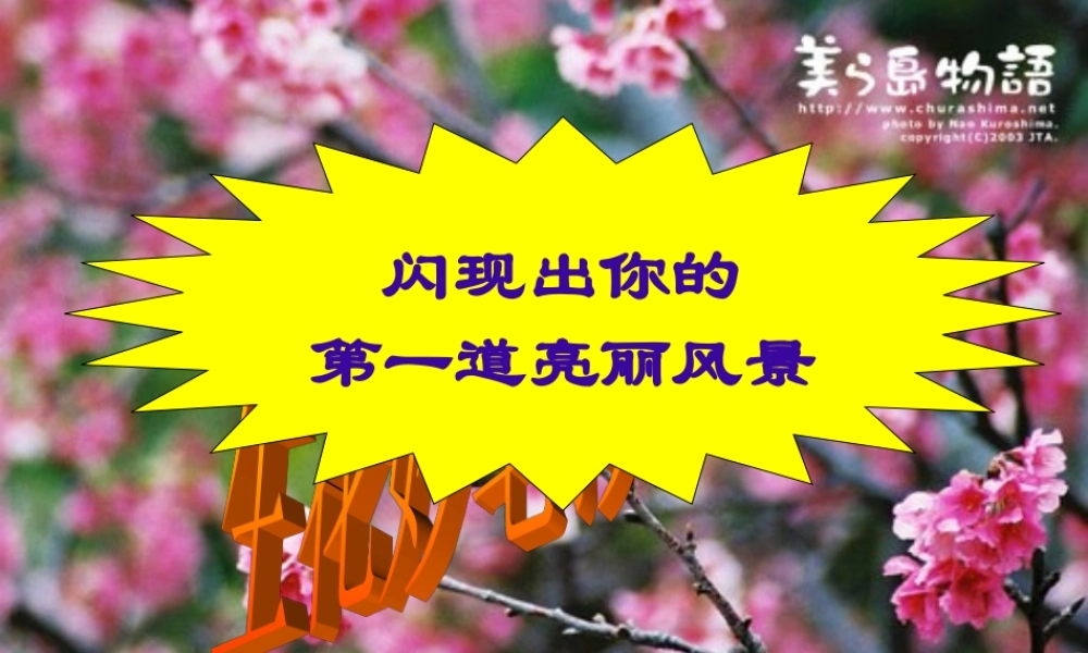 中考语文作文公开课 闪显出你的第一道亮丽风景 试题