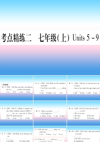 (湖北专用版)版中考英语复习 第一篇 教材系统复习 考点精练二 七上 Units 5 9实用课件
