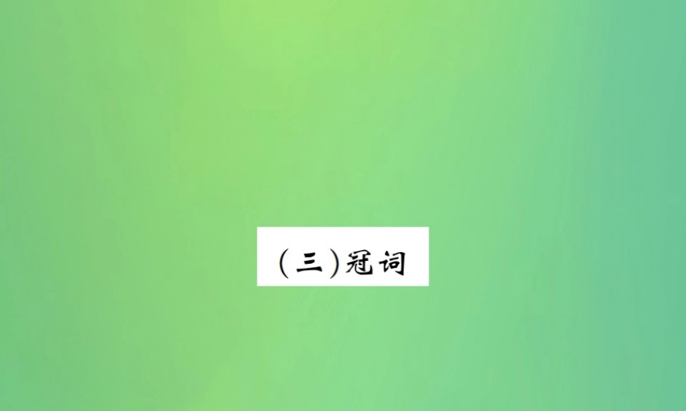 中考英语复习 第二部分 语法专项突破篇 基础语法(三)冠词课件